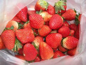 供應(yīng)徐州草莓加工果批發(fā)價，徐州草莓加工果批發(fā)商，草莓加工果