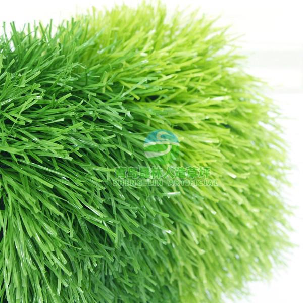 供應晟林足球場*草坪