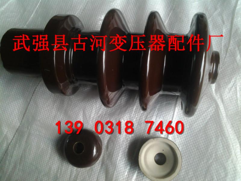 供應(yīng)BL-10/315高壓套管