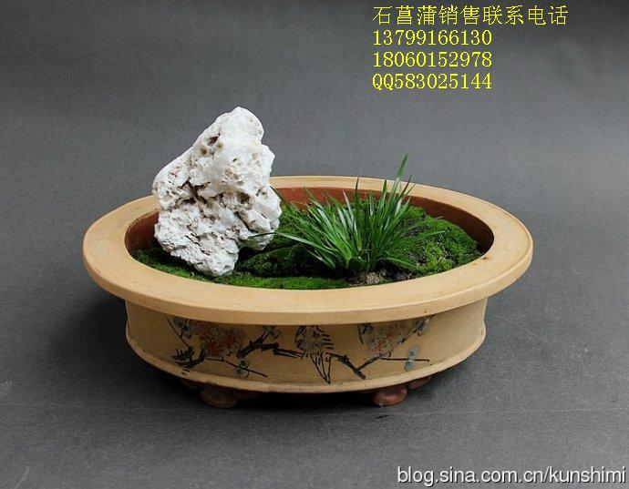 供應(yīng)*蒲