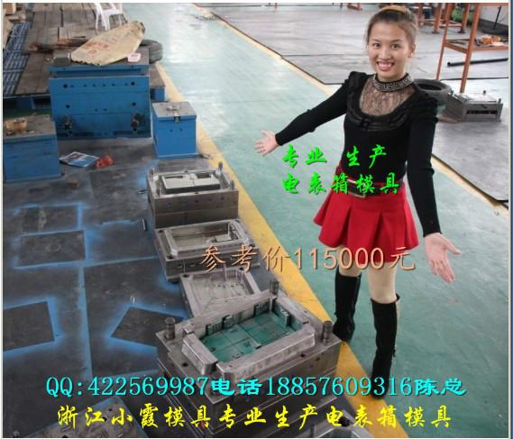 供應(yīng)浙江PC電表箱9表位電表箱外殼模具應(yīng)