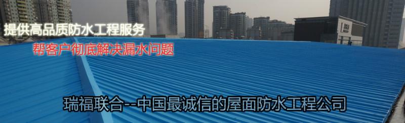 屋面漏水圖片/屋面漏水樣板圖 (3)