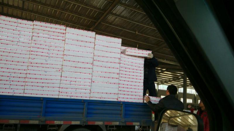 供應(yīng)吉林新鮮草莓