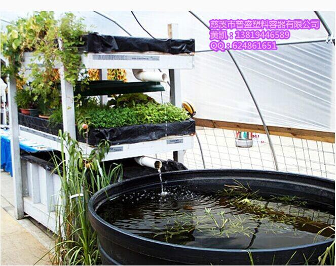 供應水產(chǎn)養(yǎng)殖桶魚類養(yǎng)殖車間化水產(chǎn)桶