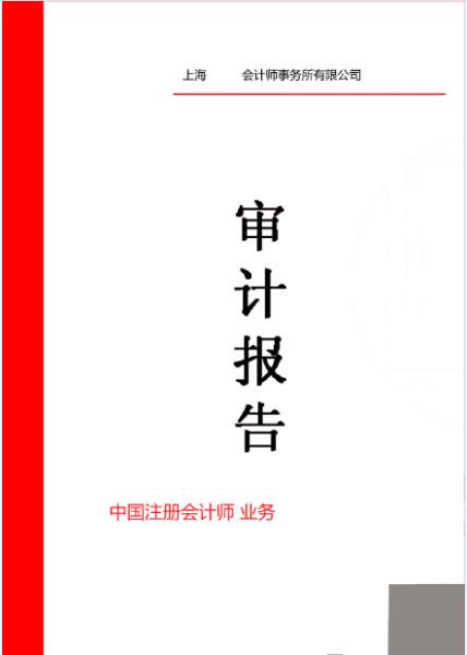 供应年报审计专项审计基金审计验收审计图片