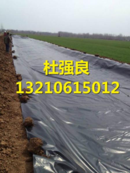 供應(yīng)0.35土工膜是什么價 水產(chǎn)養(yǎng)殖膜/地膜什么價_*的價格_*品質(zhì)