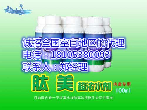 益生菌粉圖片/益生菌粉樣板圖 (3)