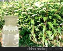 江西醫(yī)用樟腦油廠家生產(chǎn)圖片