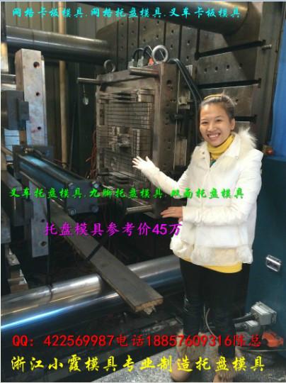 供應(yīng)米塑膠田子托盤模具1x1生產(chǎn)