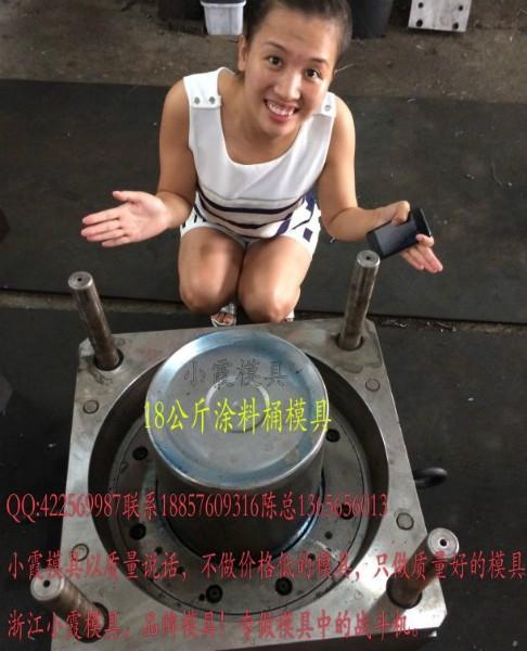 供應(yīng)塑料模塑料油漆桶模具