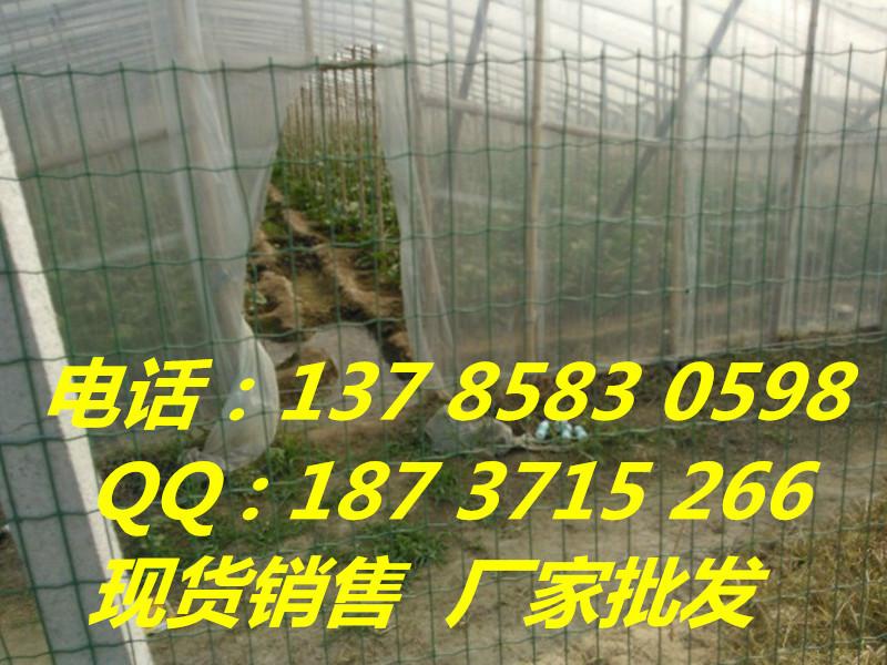 荷兰网波浪网荷兰网厂家荷兰网价格图片