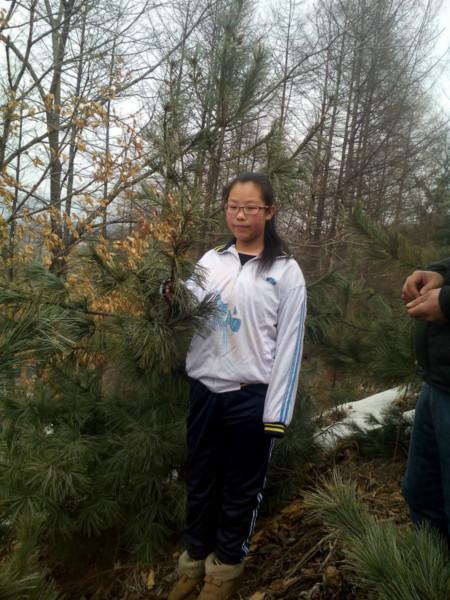 供應(yīng)冷杉4年苗批發(fā)廠家/優(yōu)質(zhì)冷杉4年苗出售