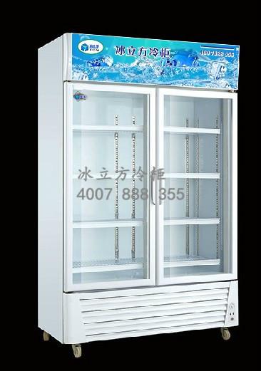 供應(yīng)深圳品牌醫(yī)藥保鮮冷藏柜出廠價直銷直銷 醫(yī)藥冷藏柜