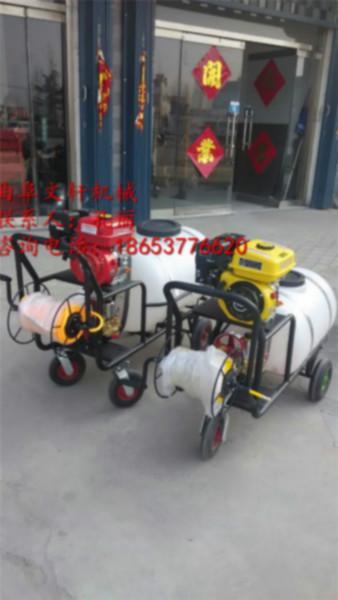 供應(yīng)果園噴霧機(jī)質(zhì)價(jià)優(yōu) 果樹噴霧器 園林打藥噴霧器