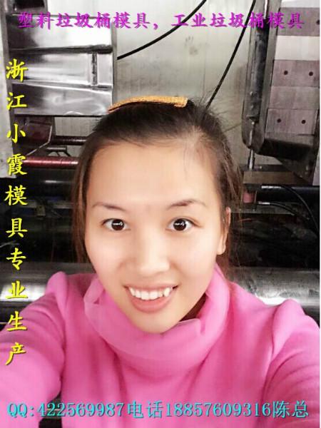 供應(yīng)浙江注射模具塑膠環(huán)衛(wèi)桶模具