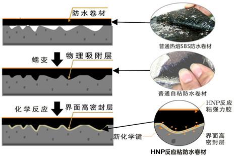 广州市CPS反应粘层压交叉膜自粘防水卷材厂家供应CPS反应粘层压交叉膜自粘防水卷材