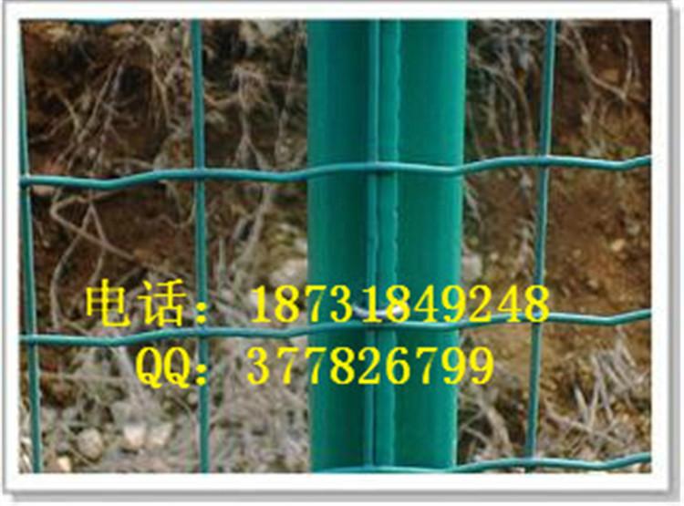 供應(yīng)波浪荷蘭網(wǎng)綠色荷蘭網(wǎng)浸塑波浪荷蘭網(wǎng)生產(chǎn)廠家價格直銷