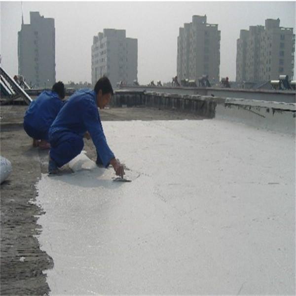 供應(yīng)氯丁膠乳防水砂漿雙組分使用壽命長(zhǎng)施工方便長(zhǎng)期浸水壽命50年以上