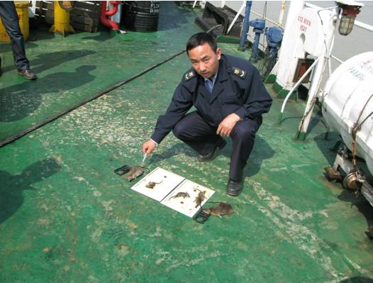 云南昆明盤(pán)龍區(qū)食品加工廠(chǎng)滅鼠圖片