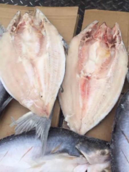 供應(yīng)進(jìn)口越南開背龍利魚