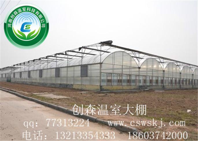 蔬菜大棚种植技术公司，河南蔬菜大棚建造报价，河南温室大棚价格图片