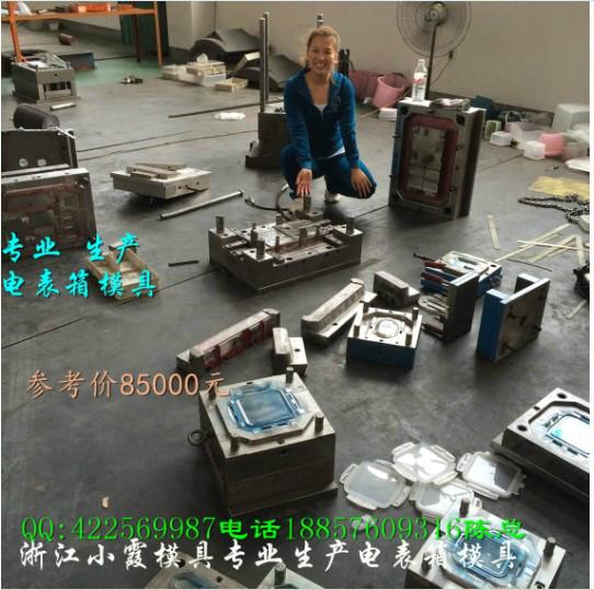 塑料電表箱模具圖片/塑料電表箱模具樣板圖 (2)