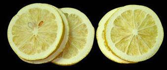 花果茶冷凍干燥機(jī) 真空冷凍干燥設(shè)備 技術(shù)咨詢電話13806475273