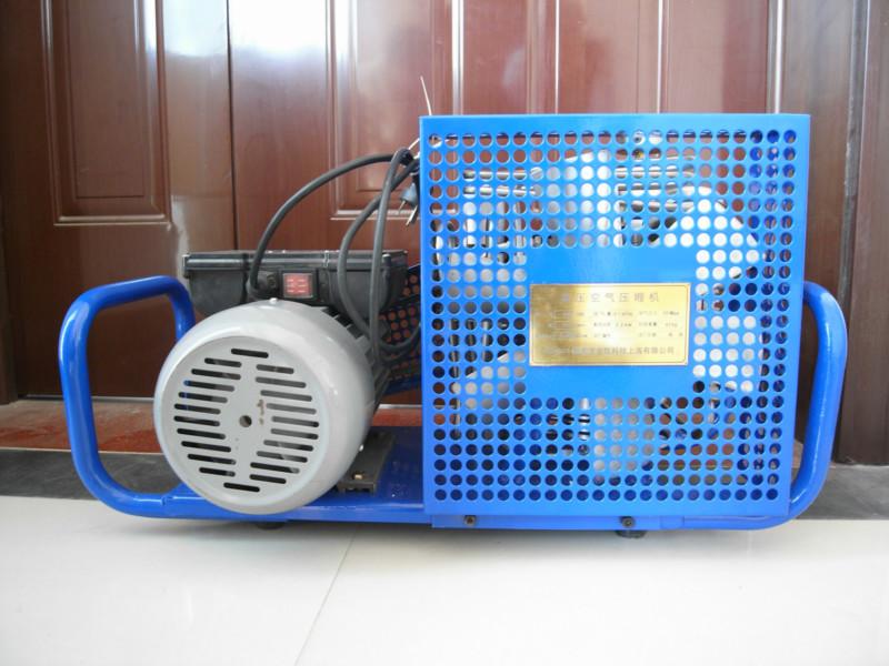 供應(yīng)SVGC100國產(chǎn)高壓充填泵、消防充填泵、威爾充填泵