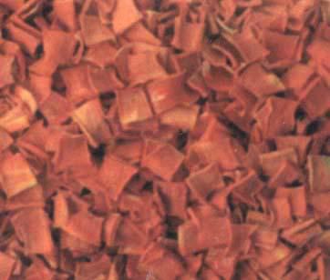 真空冷凍干燥機圖片/真空冷凍干燥機樣板圖 (2)