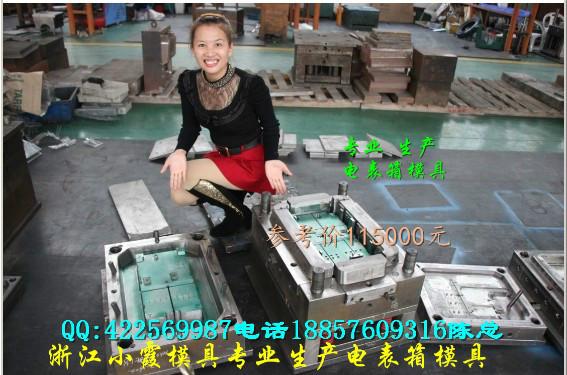 供應(yīng)塑膠電表箱模具制造加工