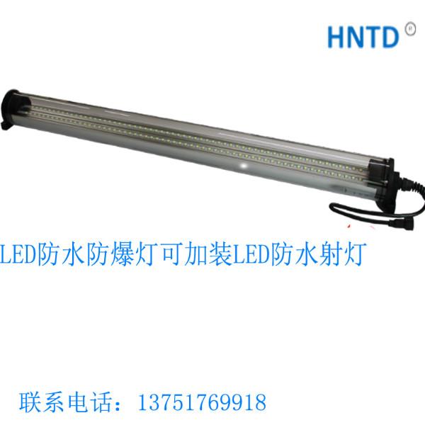 LED防爆燈圖片/LED防爆燈樣板圖 (2)