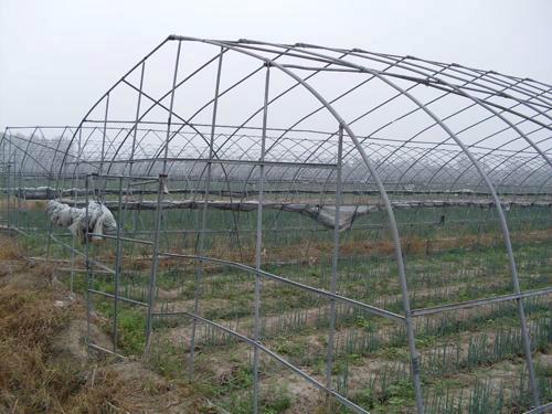 蔬菜大棚圖片/蔬菜大棚樣板圖 (2)