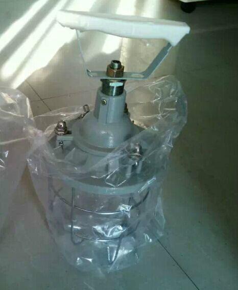 供應(yīng)BSX-60/100防爆行燈