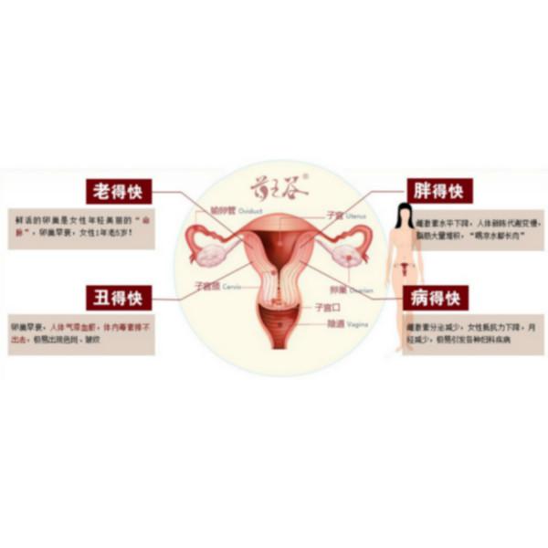 私密熏蒸养生供应私密熏蒸养生