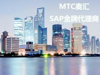 供应北京ERP公司 SAP公司合作伙伴 北京麦汇信息科技有限公司