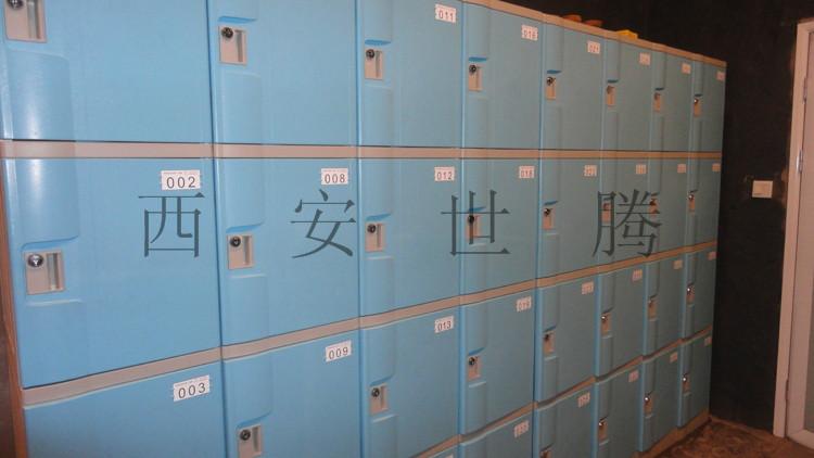 供應(yīng)西安世騰西安更衣柜尺寸 浴室塑料更衣柜批發(fā)