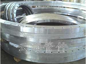 非標(biāo)鍛打法蘭圖片