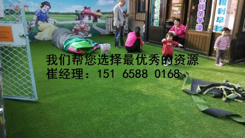 供應棗莊人造草坪哪里的便宜