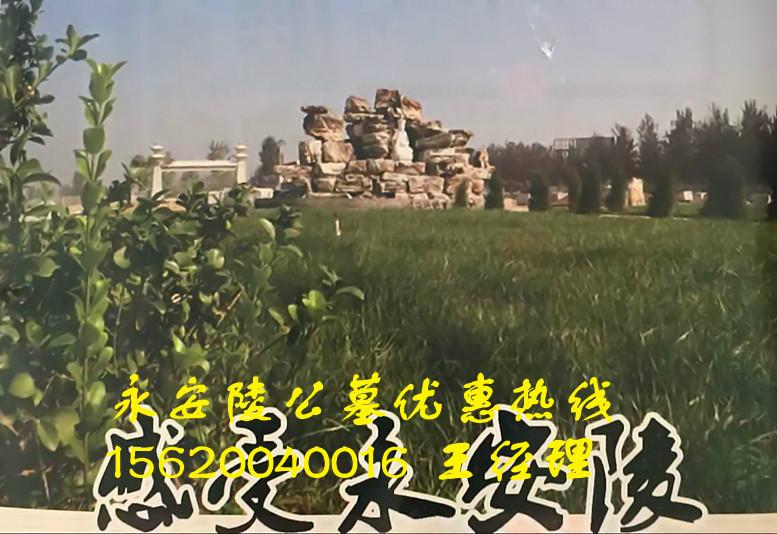 供應(yīng)永安陵公墓地址，天津永安陵公墓地址