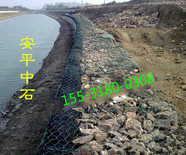 雷諾護墊圖片/雷諾護墊樣板圖 (4)