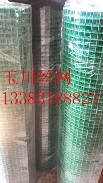 涂塑電焊網(wǎng)編織網(wǎng)方眼網(wǎng)圖片