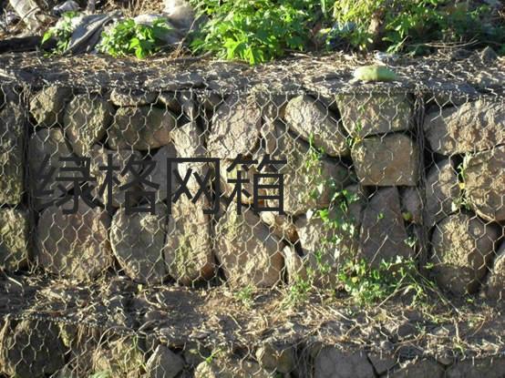 格賓網(wǎng)箱圖片/格賓網(wǎng)箱樣板圖 (4)