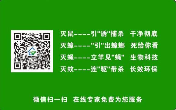 供应石家庄专业灭蟑灭蟑螂灭蟑螂公司图片