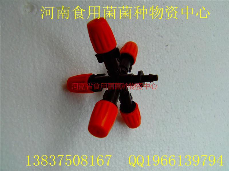 河南食用菌菌種報(bào)價(jià)   食用菌菌種 河南食用菌 河南食用菌菌種 河南食用菌菌種批發(fā) 河南食用菌 河南食用菌菌種報(bào)價(jià)