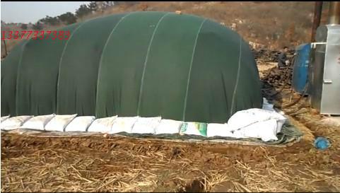 食用菌圖片/食用菌樣板圖 (3)