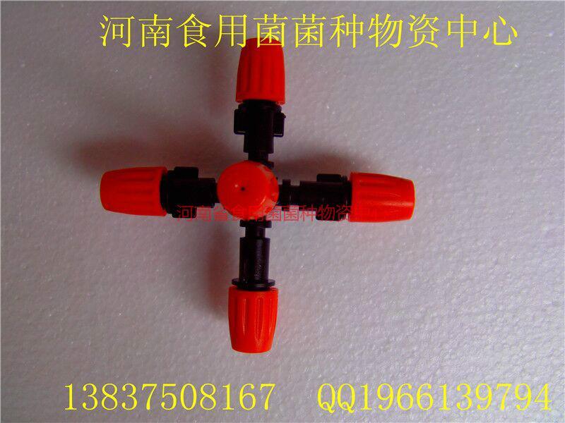 河南食用菌技術(shù)培訓(xùn)公司    河南食用菌技術(shù)培訓(xùn)價格  河南食用菌技術(shù)培訓(xùn)