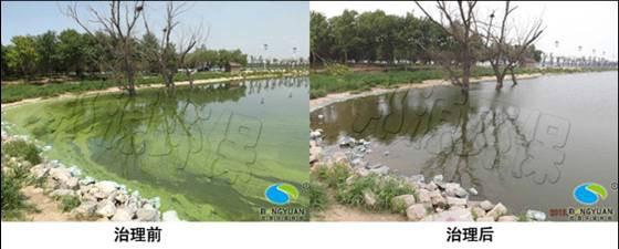 邦源環(huán)保您貼心的水環(huán)境治理專家圖片