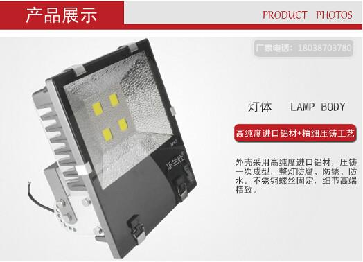 供应河北乐兰仕照明LED泛光灯200W