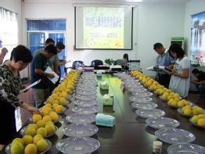 供應(yīng)轉(zhuǎn)為罐頭廠代收黃桃