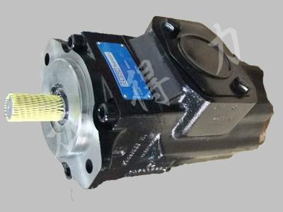 葉片泵圖片/葉片泵樣板圖 (2)